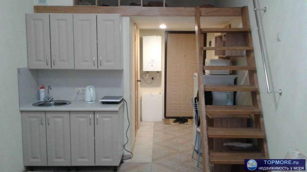   Комната-студия поделена на три зоны: кухню, зону отдыха и спальную зону вторым уровнем над санузлом. Небольшая... - 2