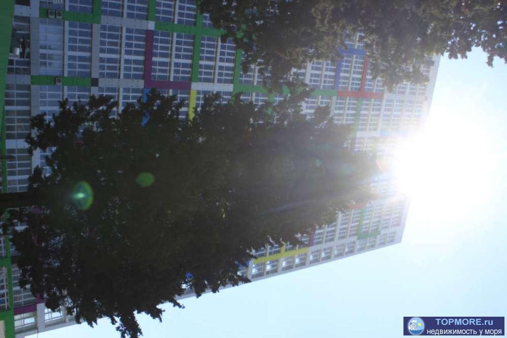 ЖК 123, А корп, наличные, чистый вид - 2