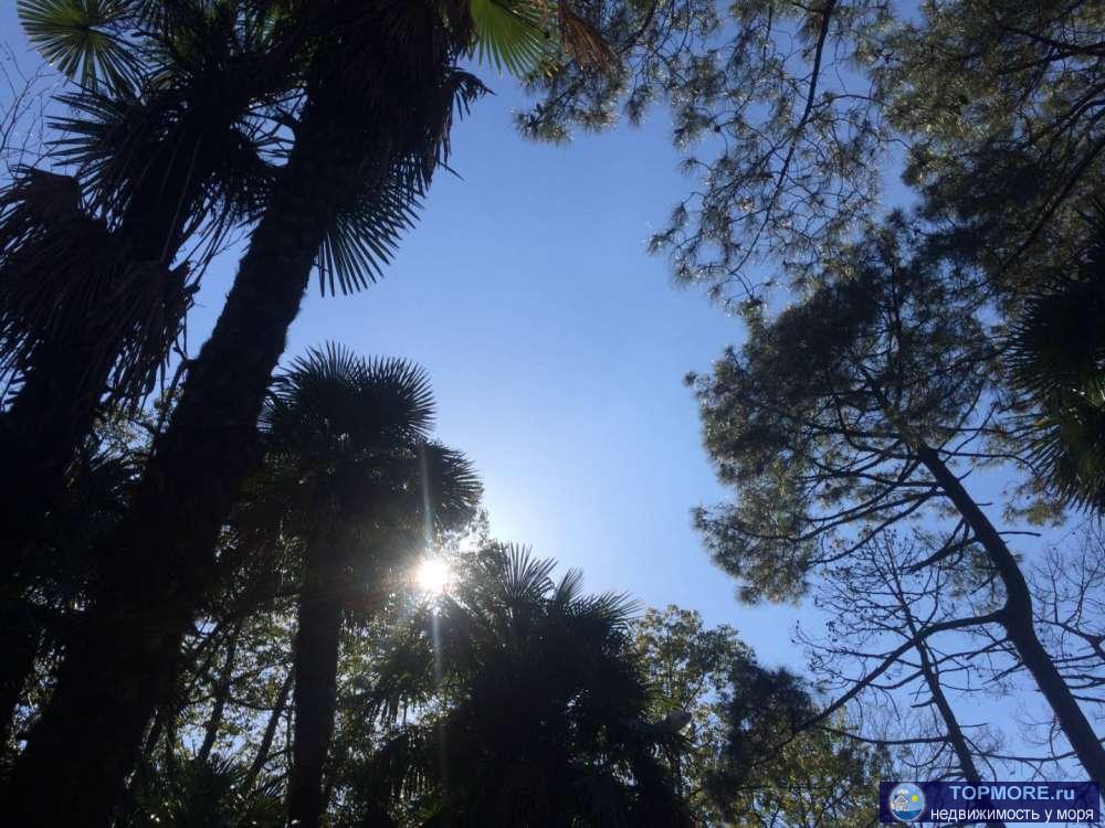 Продаю квартиру с ремонтом, мебелью и техникой! Элитный дом в самом центре Сочи! Рядом парки, школа, детские сады,... - 2