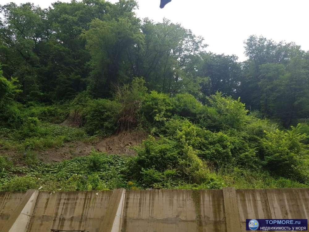 Продаю шикарную квартиру в самом престижном районе города- курорта Сочи. В квартире выполнен качественный ремонт.... - 1