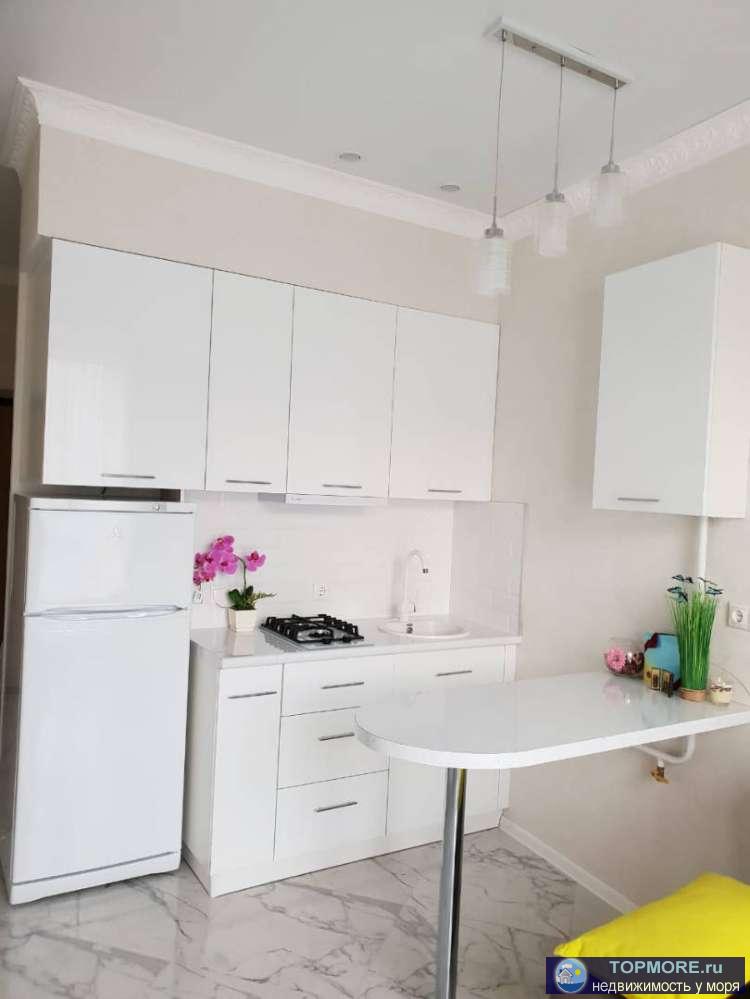 1комнатная с евроремонтом и мебелью