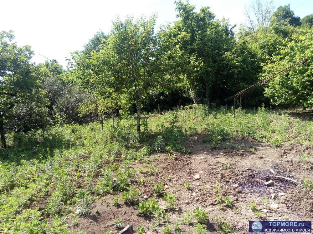 Уютный, светлый,  дом   в 3 км. от моря.  Здесь  тихо,к дому подъезд по хорошей  дороге.  Вы можете доехать на... - 2