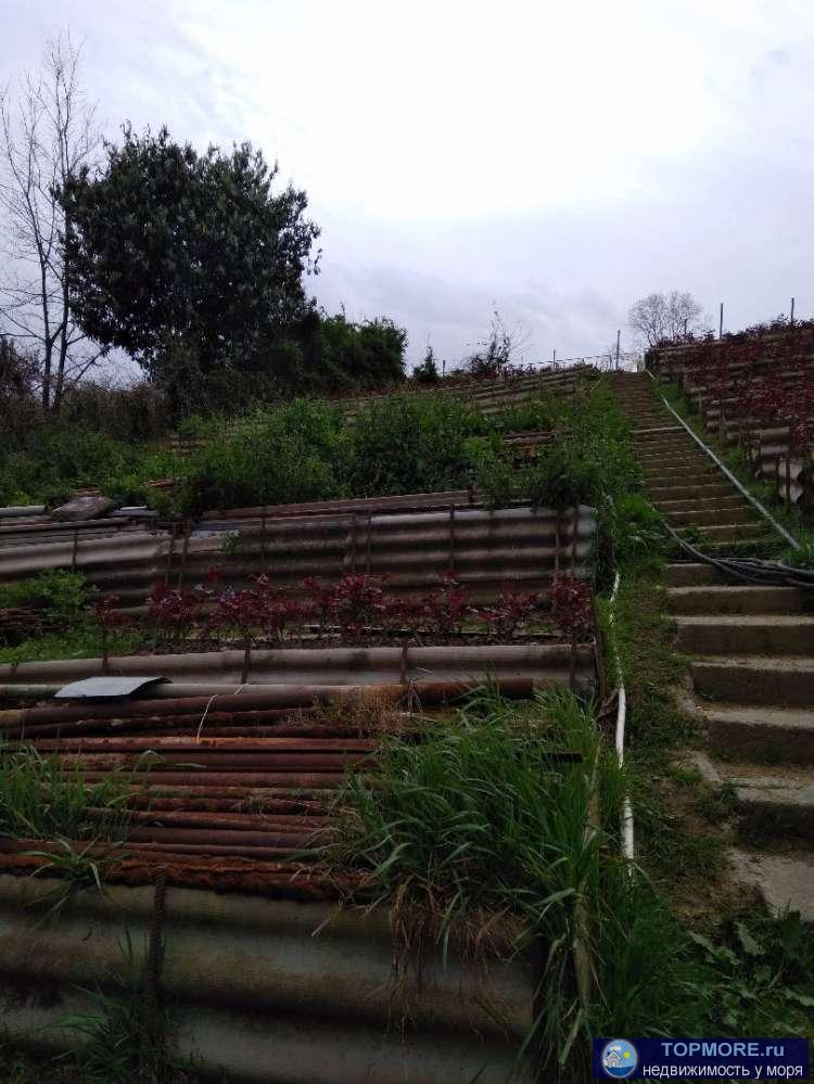 Продается дом, газ, вода, интернет, телефон. На втором этаже дорогой ремонт, паркет сделанный из дубового дерева,...