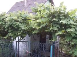 Продается дом с плодоносящим садом в Галицыно в Адлере. Площадь -...