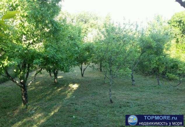 Село находится в благоухающем месте - национальный парк раскинулся в близлежащей долине и на склонах горных склонах.... - 1