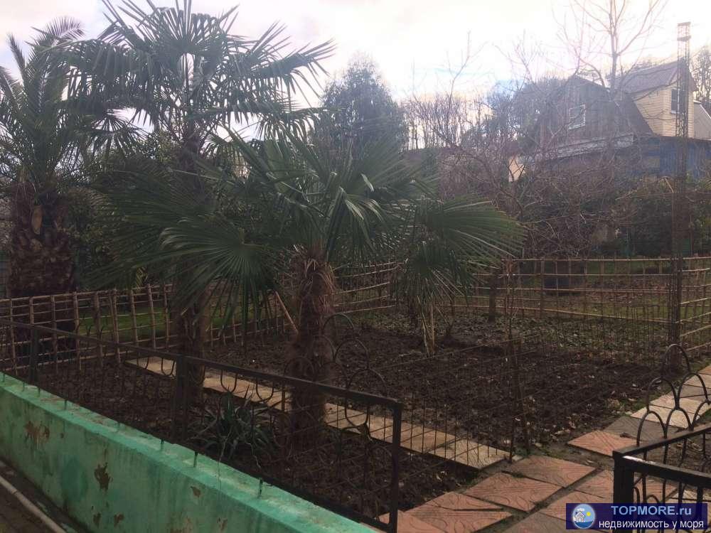 Продам дом в Бестужевке с земельным участком. Участок ровный с фруктовым садом, очень много мандаринов. На территории... - 1