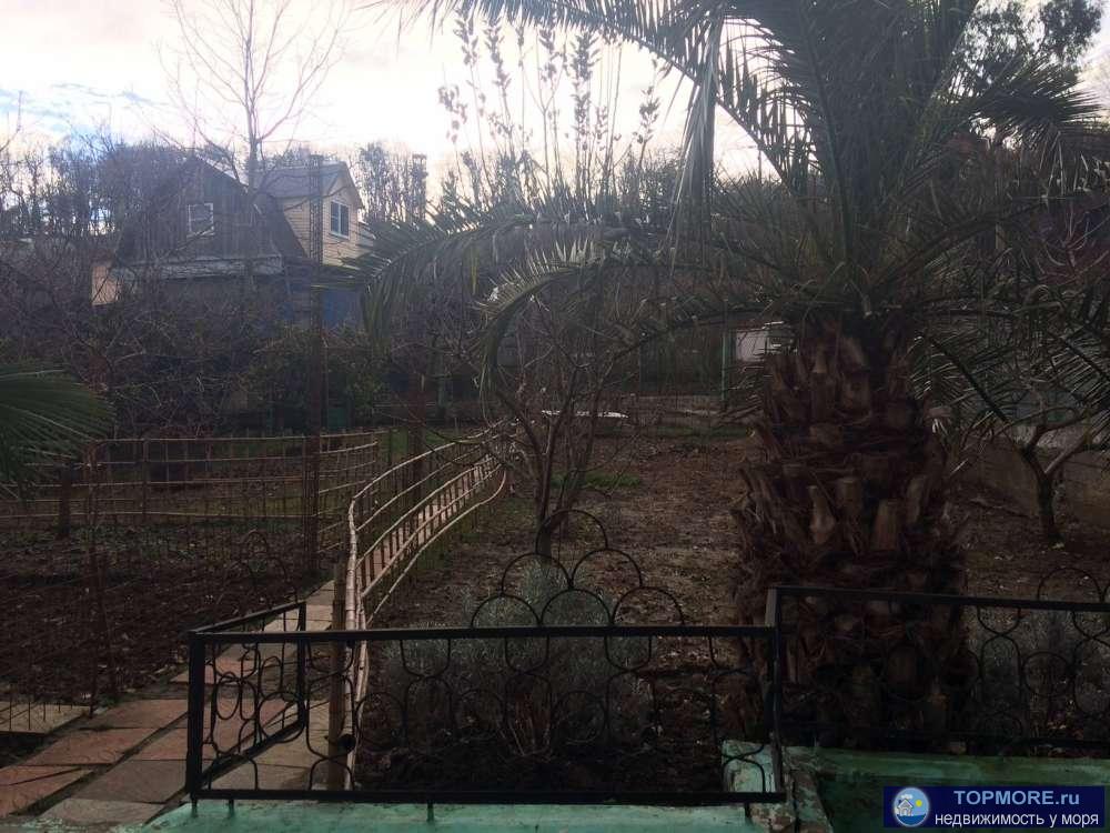 Продам дом в Бестужевке с земельным участком. Участок ровный с фруктовым садом, очень много мандаринов. На территории... - 2