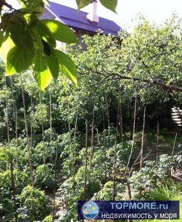 Дом в центральном районе г. Сочи, по ул. Виноградной. В цокольном (первом) этаже: 2 спальни, ванная, бойлерная,... - 2