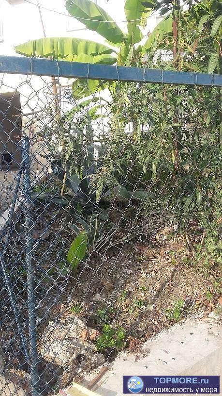 Продам дом в самом лучшем районе города Сочи,место не обыкновенно живописное.Рядом есть три участка земли ,можно... - 1