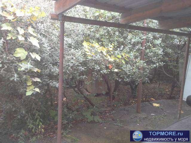 Дом 70 м кв в благоустроенном и развитом районе Н Сочи, до моря 600 метров. Участок 7,5 соток, есть сад. Центральные... - 2