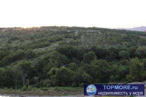 Продается трехкомнатная квартира под черновую отделку в новом доме. Комнаты просторные, большая кухня-гостиная.... - 2