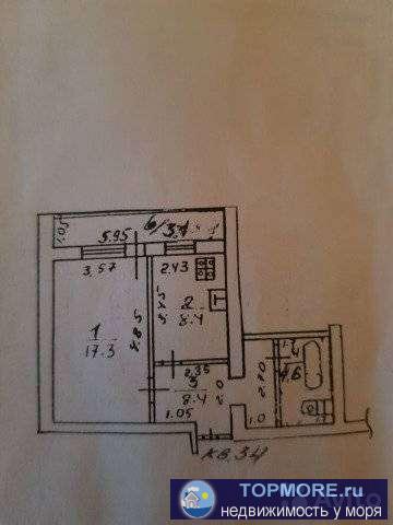 Уютная квартира с видом  на море.  Ложия застеклена . С/узел совместный.  Плита газовая.  Городской телефон. - 1