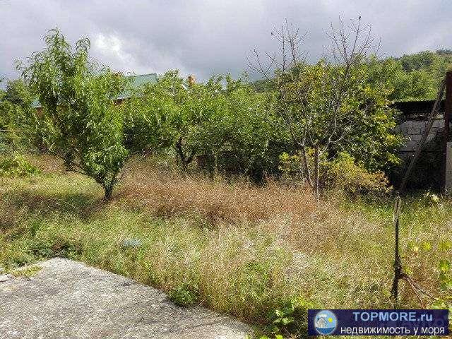 Продается дача в Геленджике в горах, 4 км. от моря. На участке артезианский колодец. Дом кирпичный, 3-х этажный... - 2