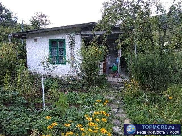 Срочно! Продам дачу в живописном месте. Краснодарский край, г  Геленджик, с/т'' Пищевик''. Об. площадь 435 кв, м. На... - 2