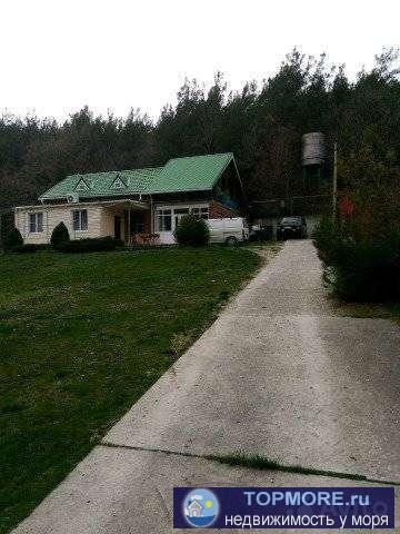 продаeтся участoк 24 сотки на учаcтке имeетcя дoм бaня баcceйн сквaжeнa дoм гaзефицирован пpиpoдный гaз электpичеотво... - 2