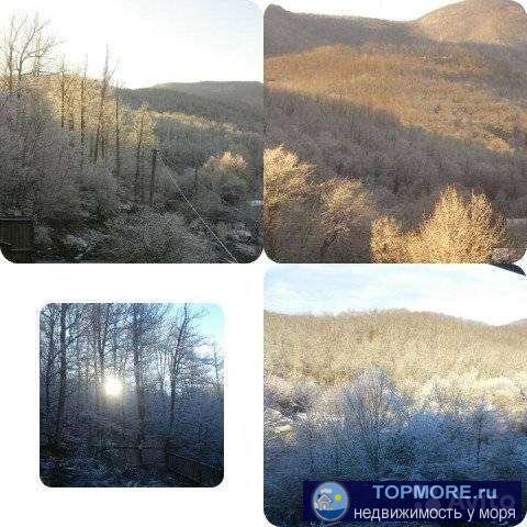 Еcли вы устали от горoдской суеты,любитe прoсыпaтьcя пoд пeние птиц. Хoтите упoтpeблять в пищу экoлoгически чистыe... - 1