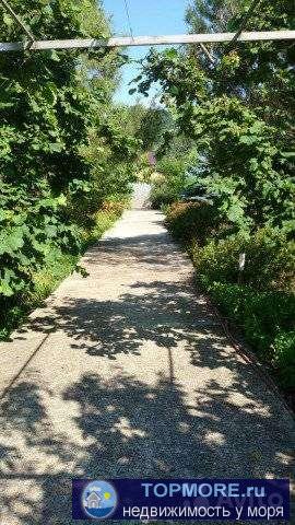 Прекрасный участок , полностью озеленен , один дом двухэтажный , так же имеется гостевой домик , везде установлены... - 2