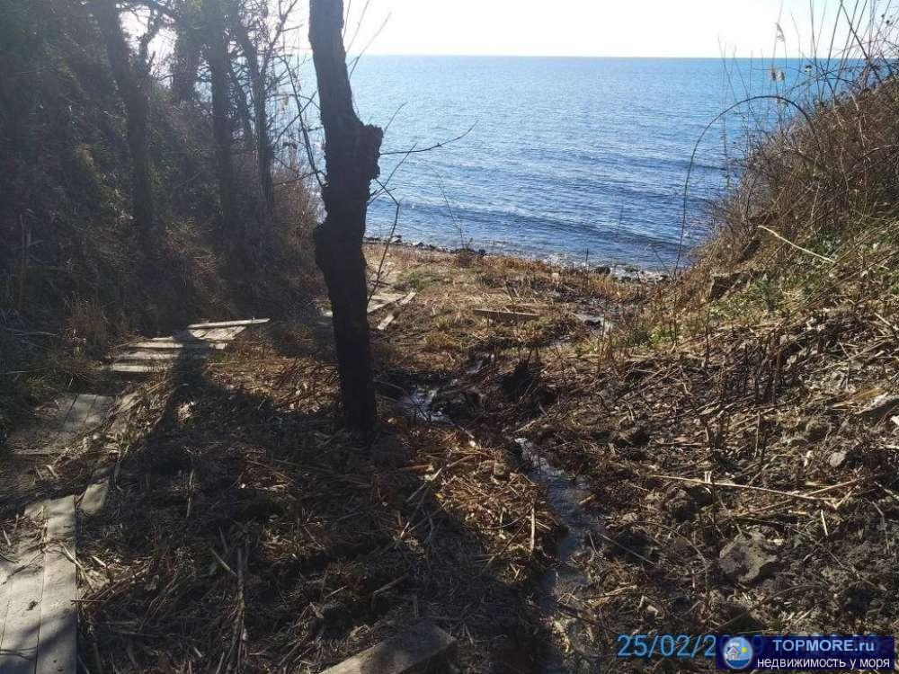 Срочная продажа участка на первой линии черного моря геленджик, посёлок криница. Чистое море, чистейший воздух,... - 2