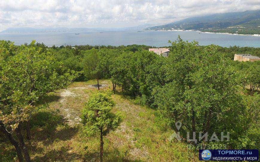 Два равнозначных участка общей площадью 4,2 Гектара в поселке Кабардинка, улица Черноморская, рядом с...