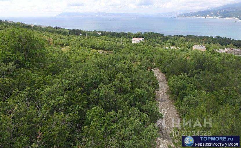 Два равнозначных участка общей площадью 4,2 Гектара в поселке Кабардинка, улица Черноморская, рядом с... - 2