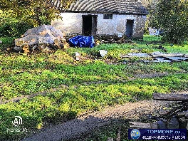 Продаю участок с. Возрождение. Участок ровной формы. Улица асфальтированная. Из коммуникаций: свет. Воду можно... - 2