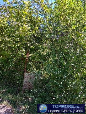 СНТ ''Светлая поляна'' ровный участок ,плодовые деревья, огорожен.Есть межевой план . Живописное место.Ведется... - 1