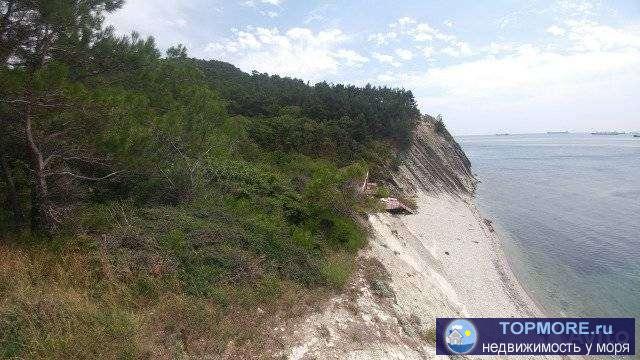 Продается земельный участок со своим пляжем на берегу моря. Прекрасное тихое место.  Район Геленджика.  Целевое... - 1