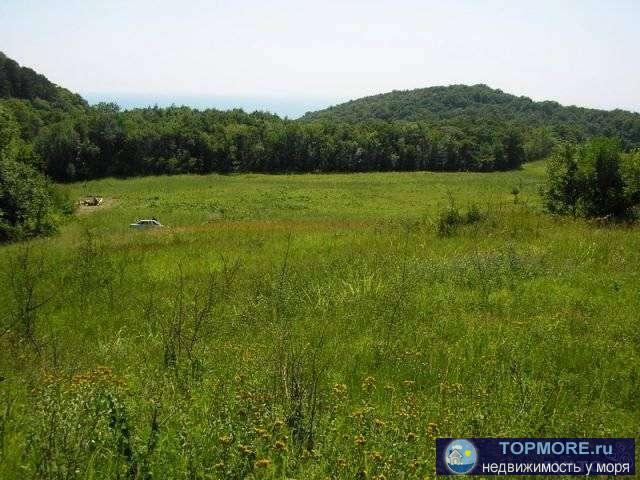 Продаю земельный участок на Черноморском побережье! Площадь 1,0 га. Расположен около п.Бетта (Геленджик), в лесу, на...