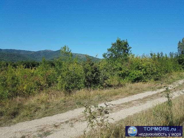 Продаю земельный участок сельхоз. назначения, ровный, площадью 1,28 га., возможна продажа частями от 5 сот. Цена 73...