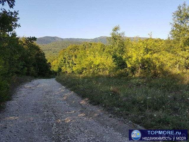 Продаю земельный участок сельхоз. назначения, ровный, площадью 1,28 га., возможна продажа частями от 5 сот. Цена 73... - 1