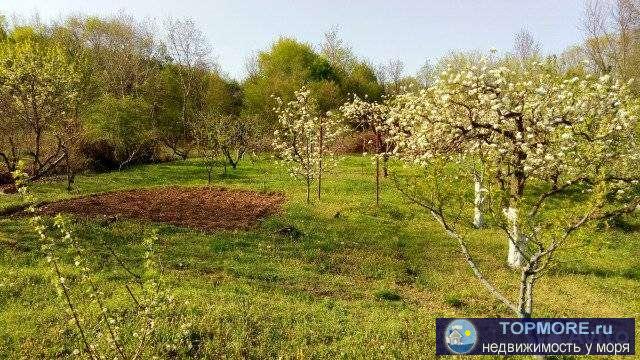 Продам земельный участок, участок под ИЖС. с. Михайловский перевал, участок ровный без построек, центральный... - 1