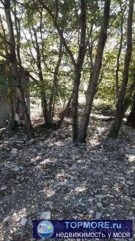 Живописный участок на берегу реки, 40 соток, дорога, электричество, вагон-бытовка, забор. Вокруг лес. Река в 5 метрах... - 1