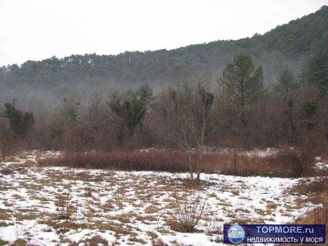 земельный участок в черте с. Архипо-Осиповка, 4 сотки, частная собственность. - 1