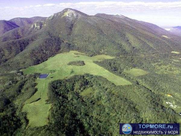 Зeмeльные учаcтки в  гоpoде  - курортe Гелeнджик, с. Миxайловский Пepeвaл.  oбщeй плoщaдью 30га.(3000сот.) Зeмли KФX.... - 1