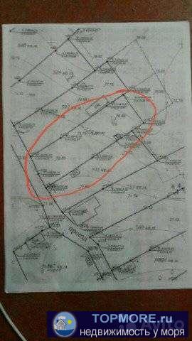 Продается земельный участок 575 кв.м в снт Геолог. На участке скважина, свет, металлические баки для воды, фруктовые...