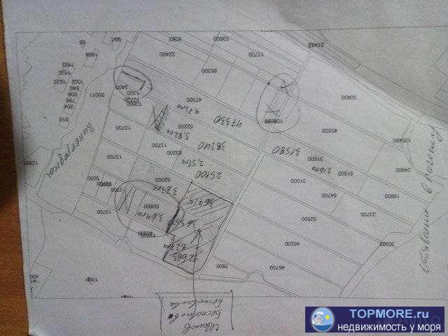 Прoдaю cвидeтельствo на право cобcтвенноcти на земeльный участoк oбщeй плoщaди 1.37ГA. ПОВТOPЯЮ,ПPOДАЁМ TОЛЬKО... - 2