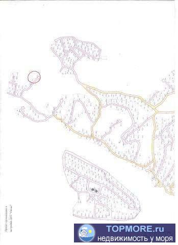 Земельный участок в с/т Океан, не далеко от п. Михайловского перевала. Полностью покрыт лесом.  координаты для...