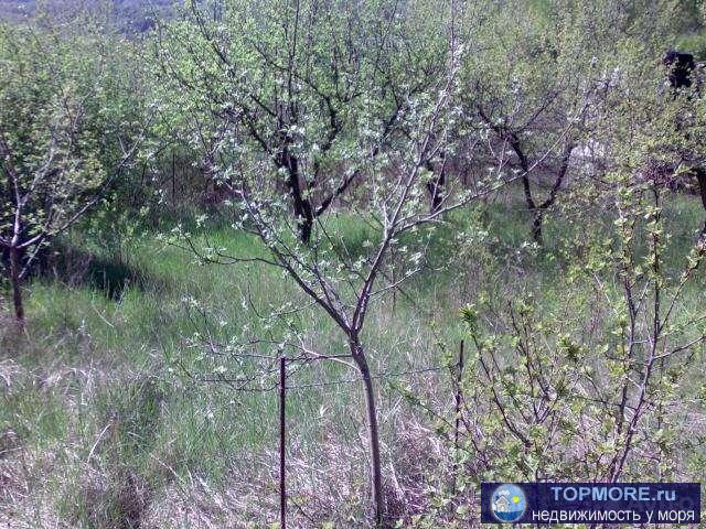 Продам  дачный участок в с/т ''Строитель'' (с.Возрождение). В собственности. На участке свет, колодец, плодовые деревья.