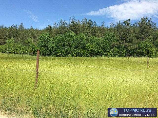 В тихом районе (п.Светлый). Участок правильной формы, чистый, ровный. Собственник.