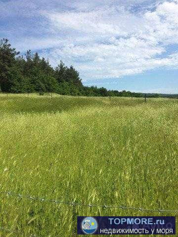 В тихом районе (п.Светлый). Участок правильной формы, чистый, ровный. Собственник. - 1