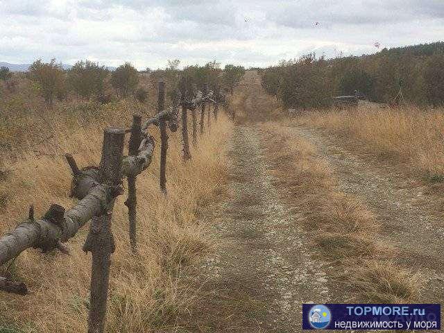 В собственности,Участок находится между Кабардинкой и Геленджиком,с.Виноградное собственник,без риэлторских... - 1