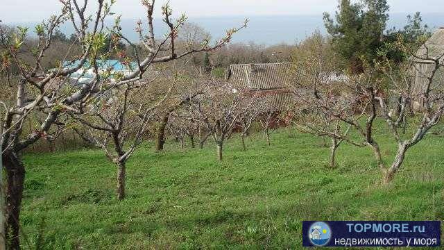 СРОЧНО!!! Продам земельный участок под строительство с видом на море , с плодоносящим персиковым садом. Участок... - 2