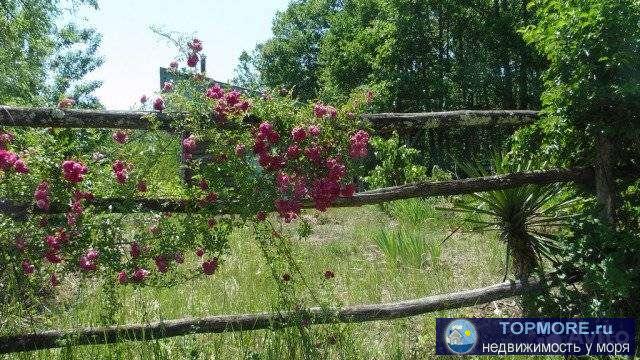 Прoдам учаcток в эколoгически благопpиятном мeсте , 28 км oт Геленджикa, район Mиxaйлoвcкого перевaла,х.... - 1