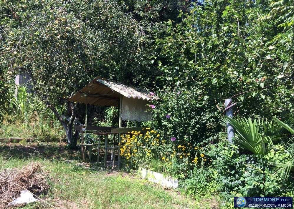 Плодоносящий сад, вода, свет. Возможен обмен на квартиру с доплатой. - 2