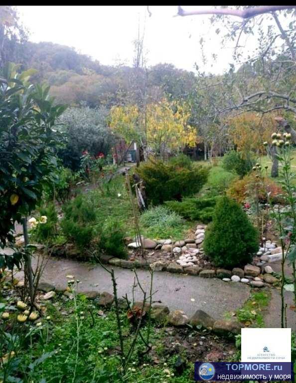 Участок ровный, имеются коммуникации газ, свет, вода, подьезддо моря 1,5 км, на участке жилой дом 50 кв.м. на дом...