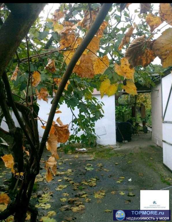 Участок ровный, имеются коммуникации газ, свет, вода, подьезддо моря 1,5 км, на участке жилой дом 50 кв.м. на дом... - 2