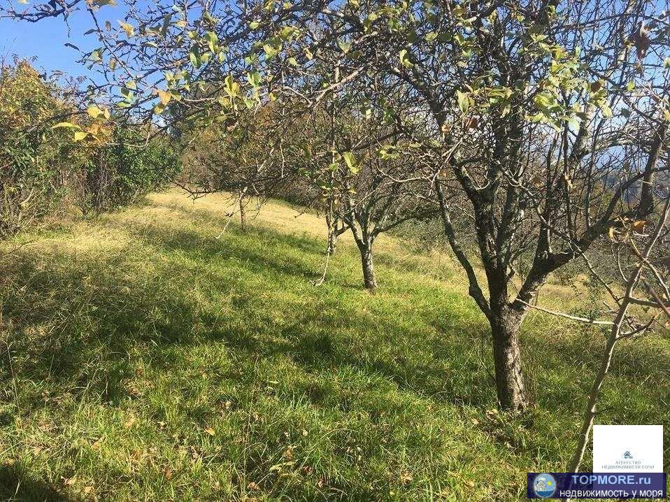 Продается земельный участок площадью 10 соток. Расположен в Адлерском районе, с.Молдовка, ул.Пчеловодов....